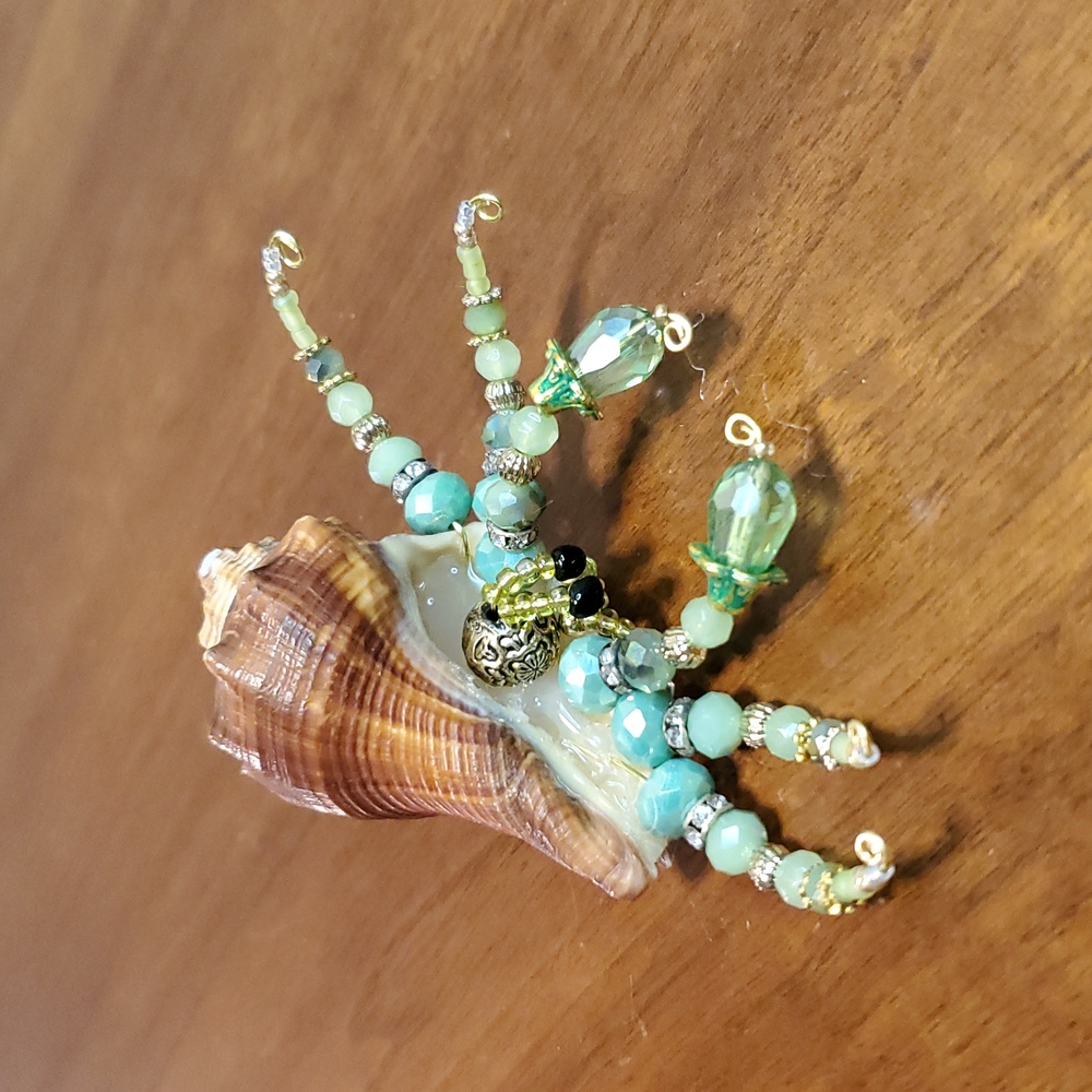 Beaded Sea Shell Hermit Crab - Picture 5 of 6